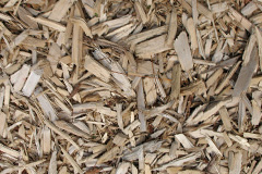 biomass boilers Rayleigh